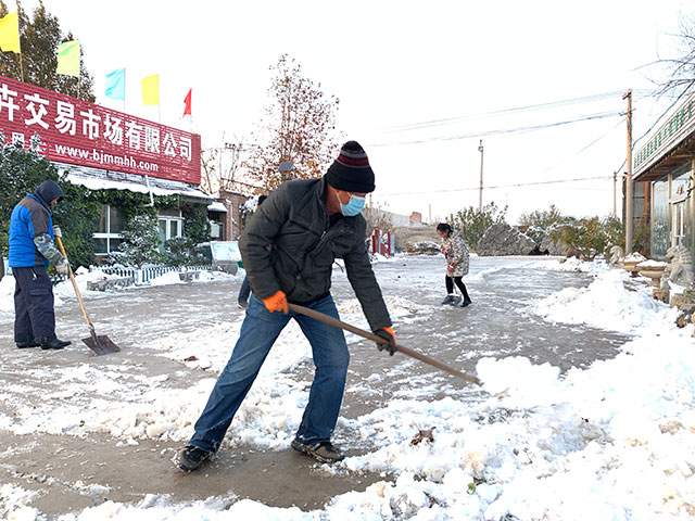 2021北京第一场雪，银装素裹的华源发苗木市场