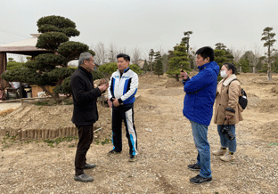 【本周上新】石榴、大叶黄杨