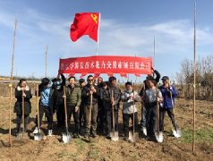 2021年第一届华源发植树节活动-华源发绿化网