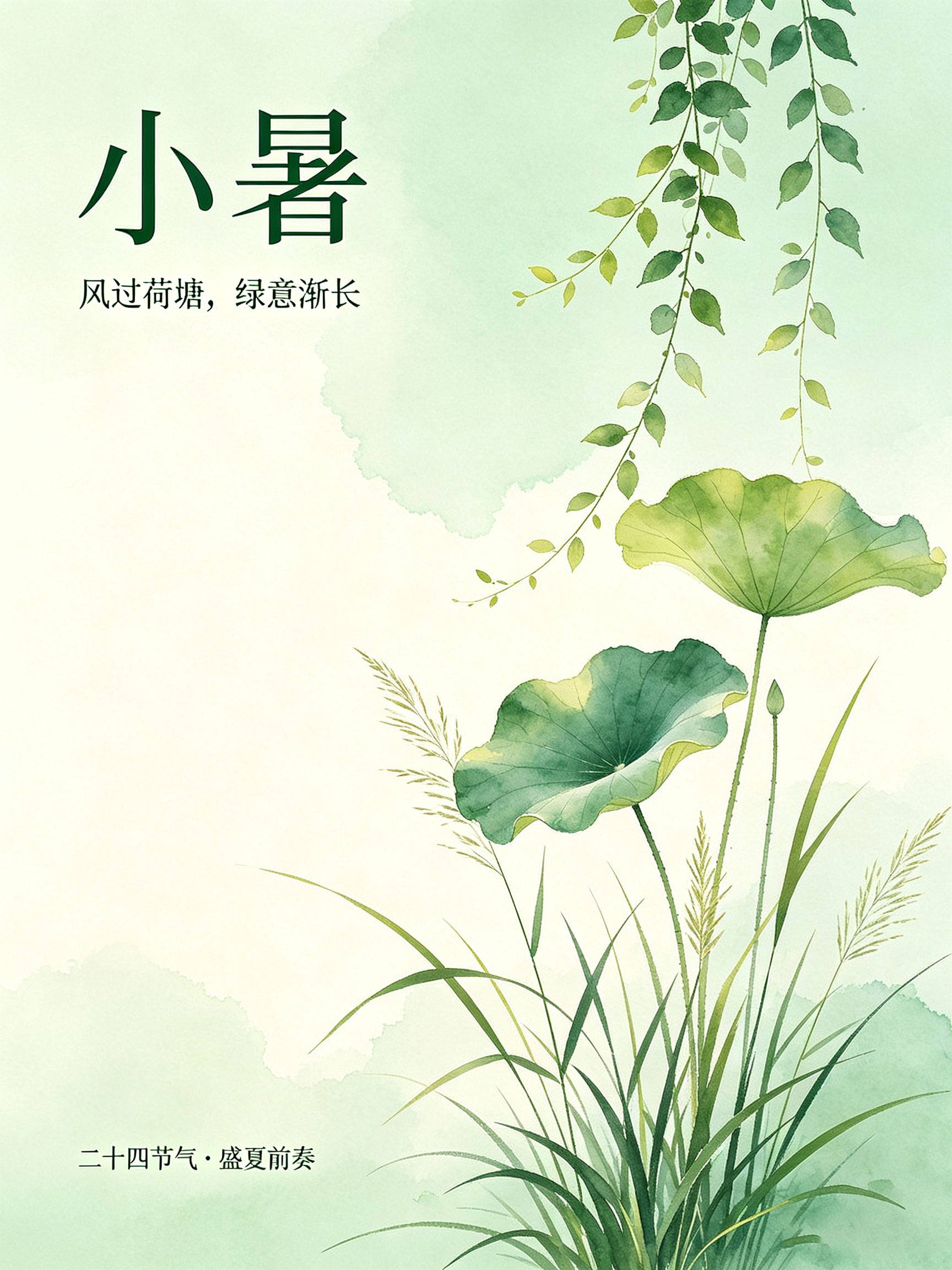 小暑3.jpg